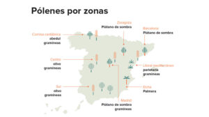 Conjuntivitis alérgica: protegernos a todas las edades