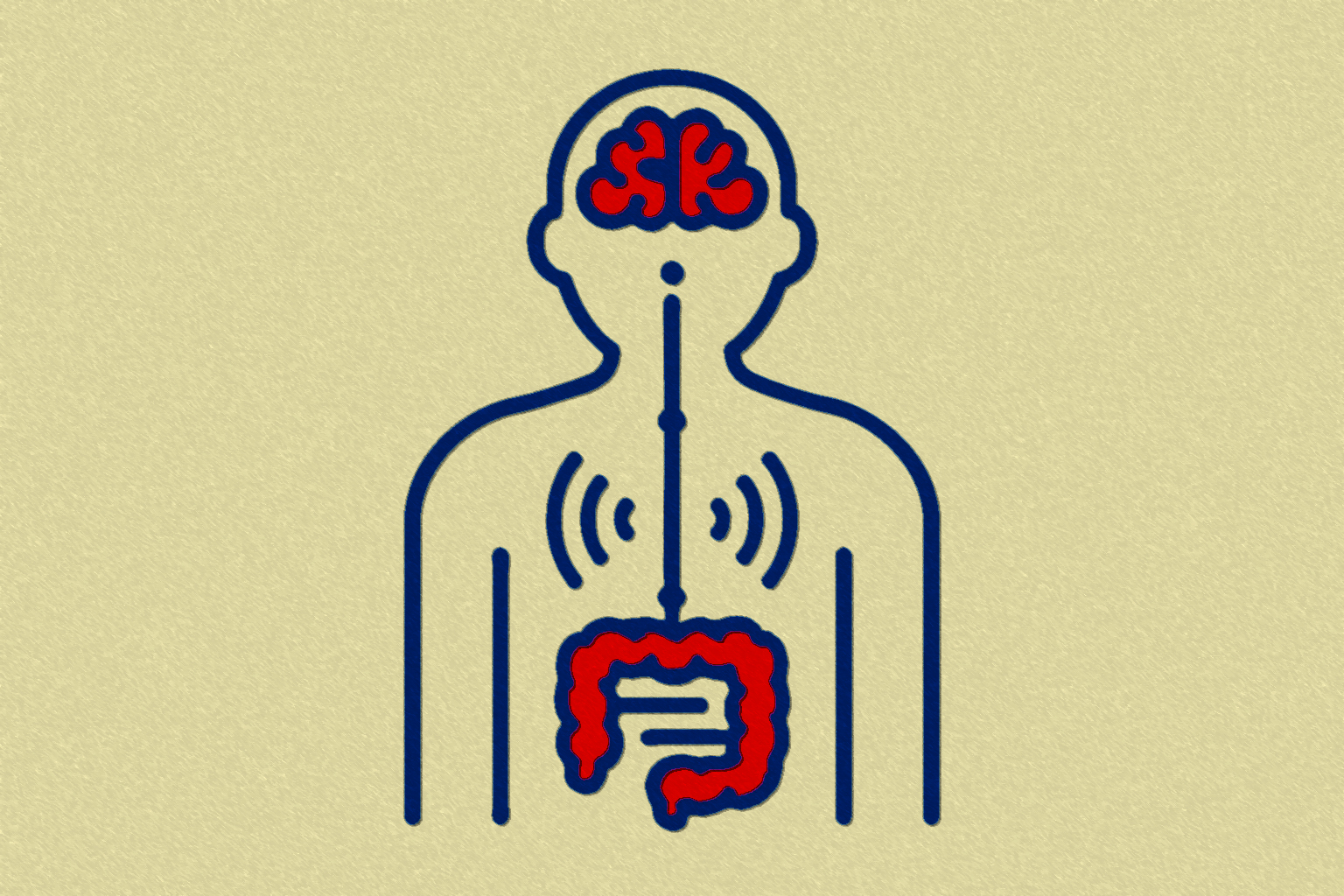 El papel del intestino en la salud cerebral: el eje intestino-cerebro